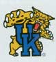 Kentucky Wildcats Tattoo-0